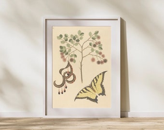 Botanical Butterfly art | Vintage Gallery Wall | Digital Printable