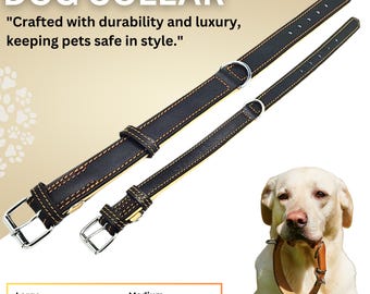 Padded Leather Dog Collar – Adjustable Comfortable Pet Collar for Medium & Large Dogs
