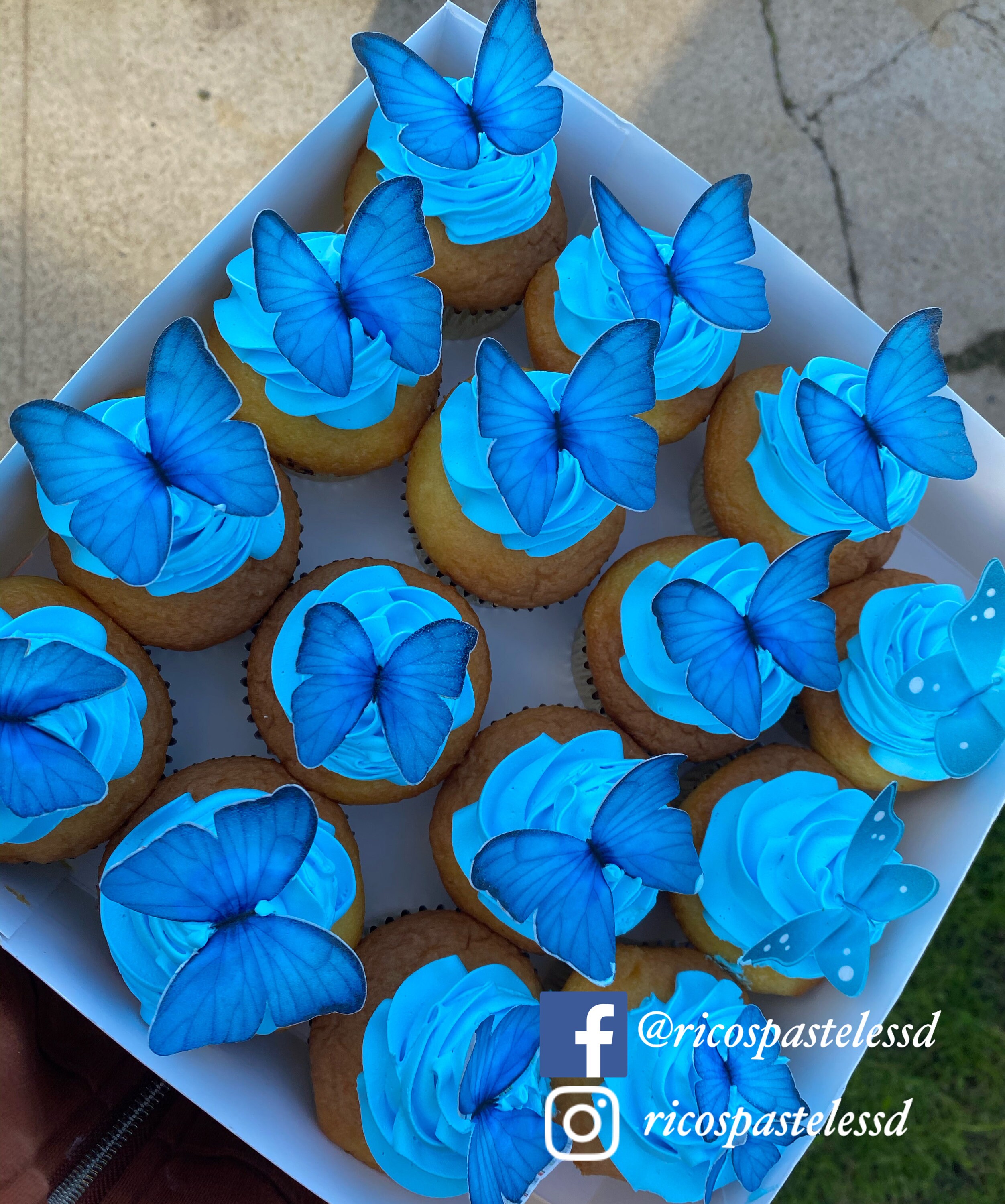 Blue Edible Wafer Butterflies Etsy