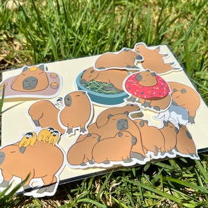 Adesivos de Capivara caseiros, pacote com 10 adesivos, cortados separadamente