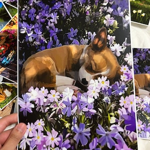 Corgi Baby resting in Flower Bed Print - Wall art - Physical Print