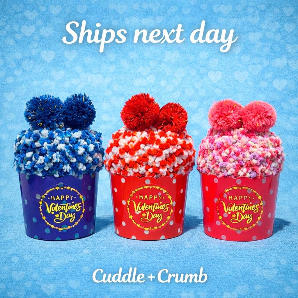 Cozy Socks Cupcakes Valentine's Day Gift for teachers, Friends and Coworkers