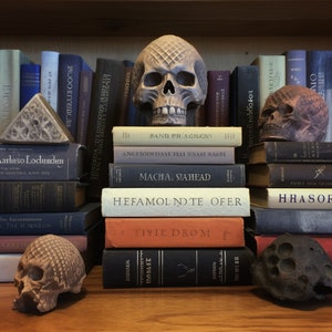 May include: A bookshelf filled with books, with a skull sculpture and two smaller skull sculptures on top. The books have titles such as "Band Pragjacky", "Angisockant Veil Swave Sanfl", "Macha Stahead", "Hefamol Nde Ofer", and "Tivie Drom".