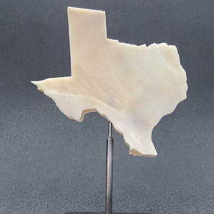 Knochenskulptur von Texas