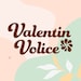 ValentinVolice store logo