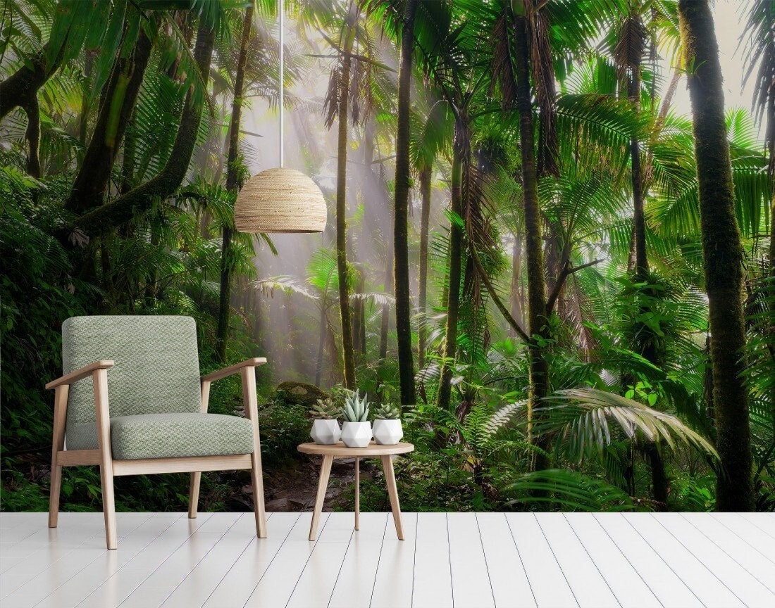 Peel and Stick Jungle Wallpaper: Tropical Rainforest Mural - Etsy