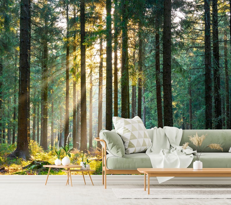 Forest Wallpaper Mural: Peel and Stick Removable Wall Decor - Etsy
