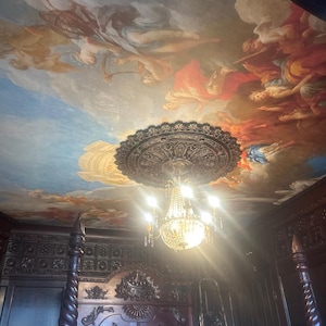 Carta da parati staccabile e adesiva con motivo rinascimentale: decorazione del soffitto di Versailles immagine 9