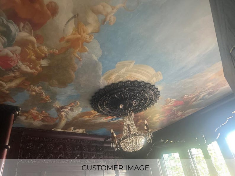 Carta da parati staccabile e adesiva con motivo rinascimentale: decorazione del soffitto di Versailles immagine 8
