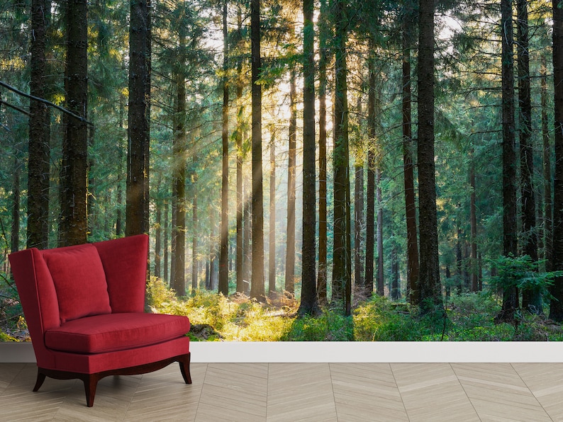Forest Wallpaper Mural: Peel and Stick Removable Wall Decor - Etsy