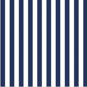 May include: A seamless pattern of alternating white and navy blue vertical stripes.