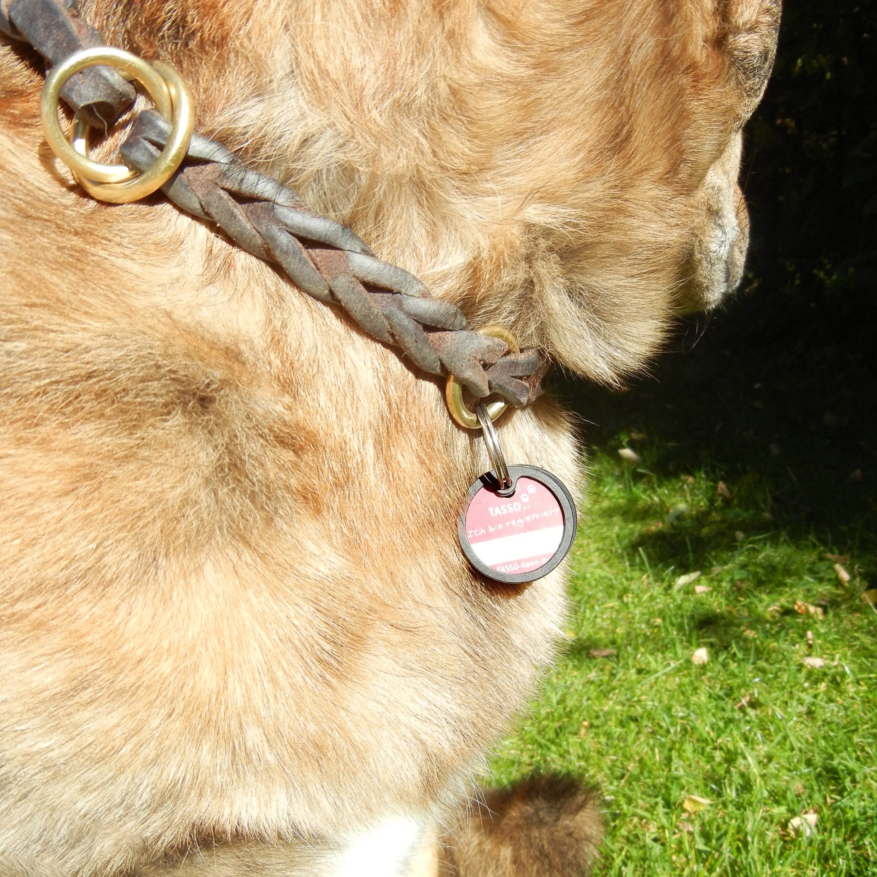 Dapper Hundemarken-Schalldämpfer – AirTag-Halter Aus Ballistischem Nylon, Stoppt Das Klingeln