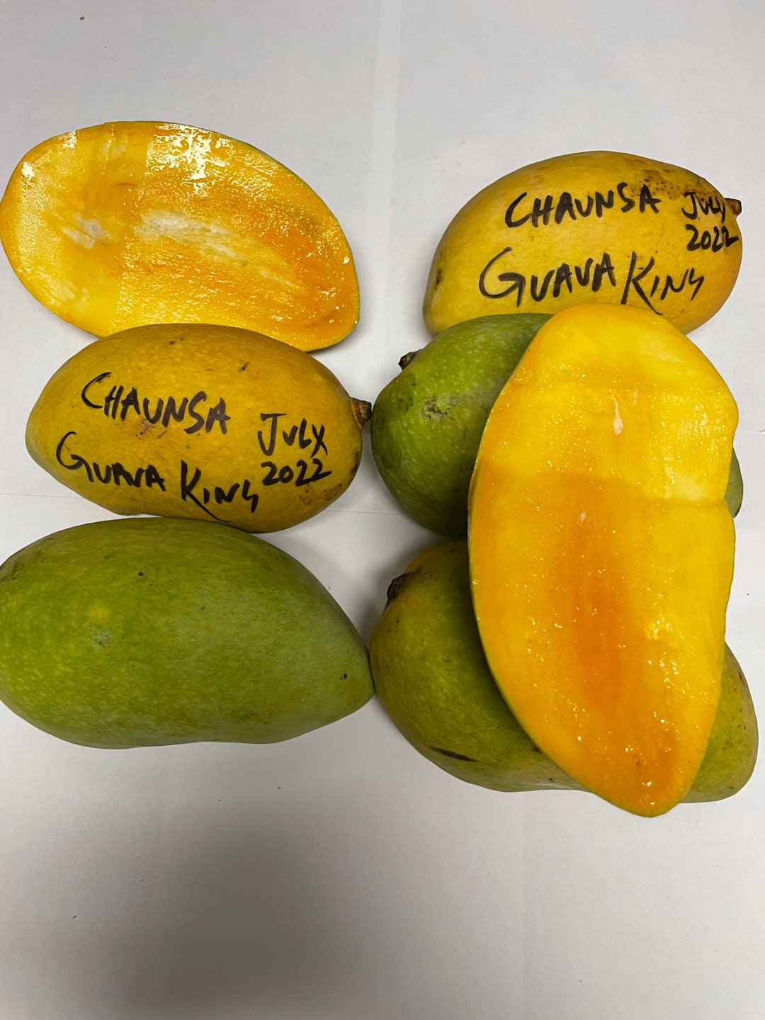 Indian Pakstani Mango Tree Chaunsa Mango Grafted the Best Mango in the