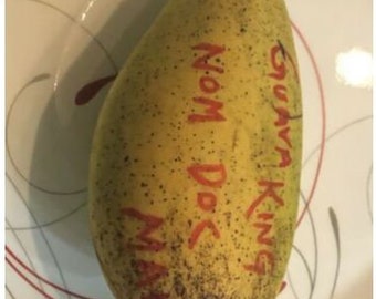Grafted Thailand mango Num Doc Mai tree