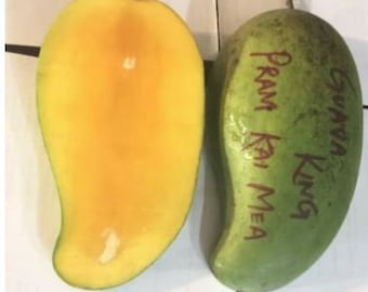 Grafted Thailand mango pram kai mea tree, brahm kai meu mango