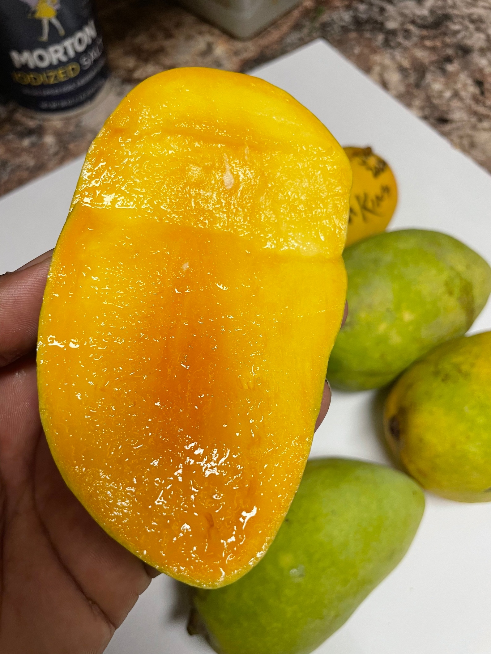 Indian Pakstani Mango Tree Chaunsa Mango Grafted the Best Mango in the ...
