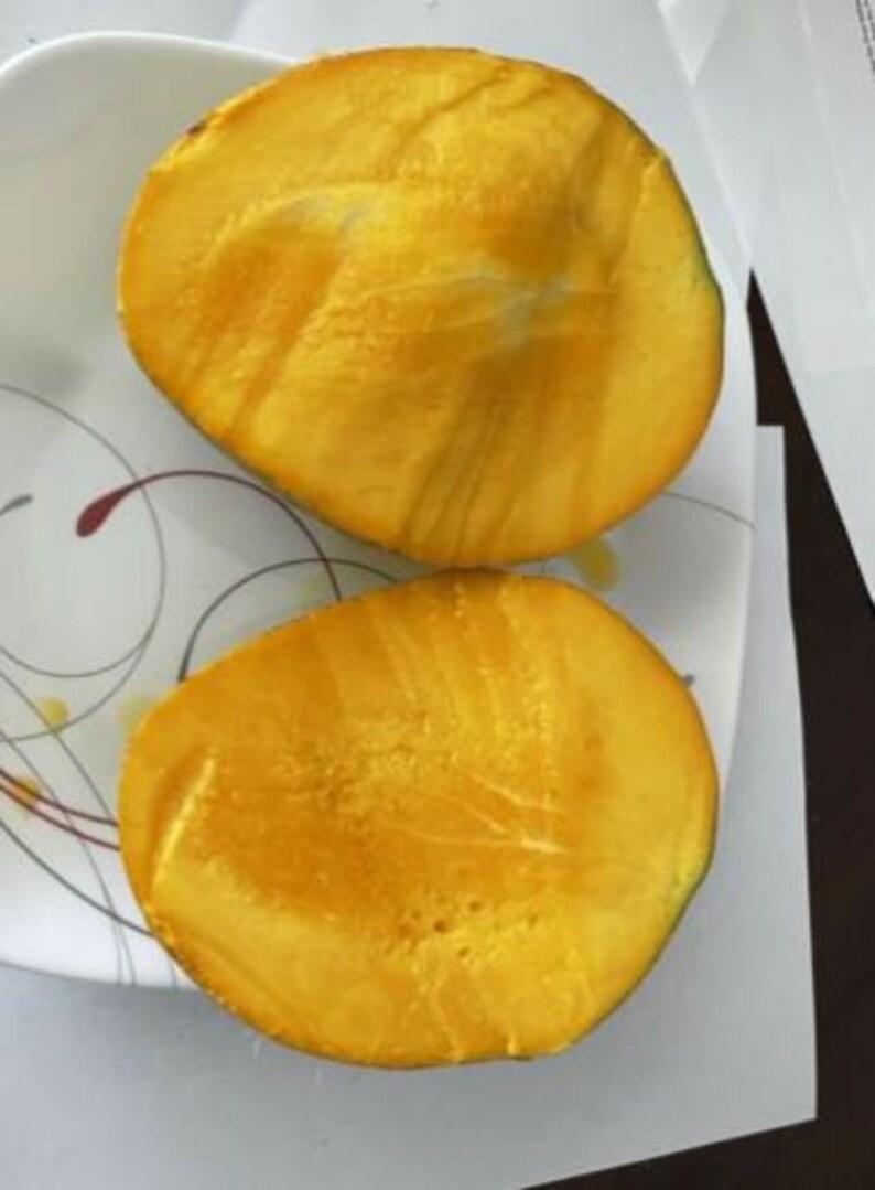 Fruit Punch Mango One of the Very Best Mango in USA Etsy