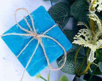 Bergamot Goats Milk Blue Handmade Square Soap Bars -  pack of 2