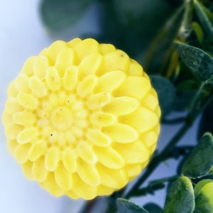 Bergamot & Calendula Goats Milk Handmade Flower Soap Bar