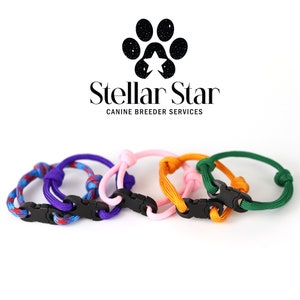 template girl litter collars