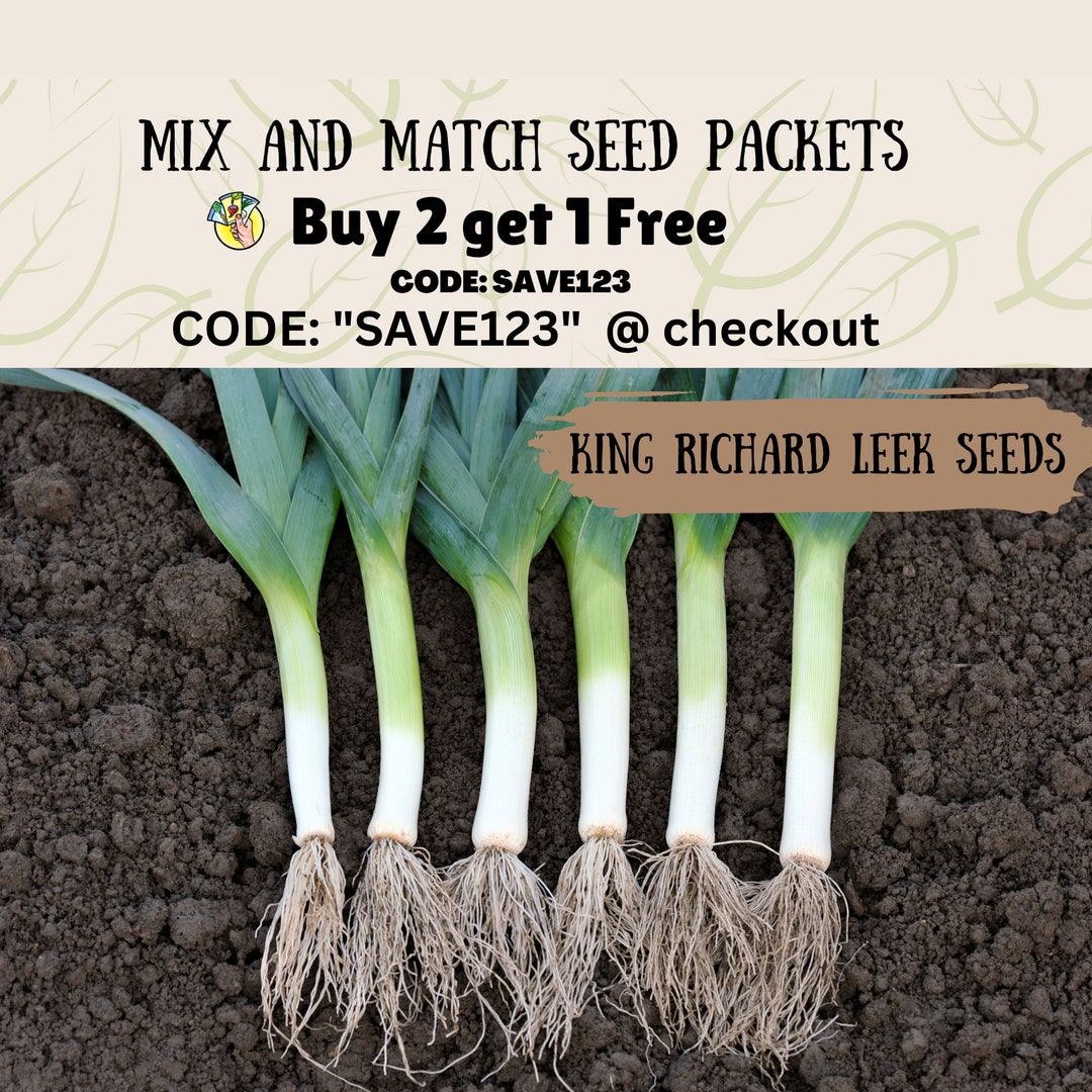 King Richard Leek Seeds Leek Seeds Medium/ Large Leeks Etsy
