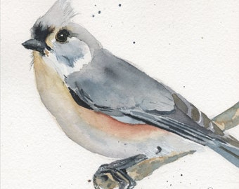 Wall Art Watercolor Bird Print Bird Lover Tufted Titmouse Art Gift Backyard Bird Decor