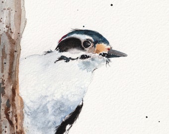 Wall Art Original Watercolor Painting Downy Woodpecker Bird Lover Art Nature, Gift