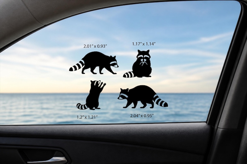 May include: Four black raccoon decals in various poses are displayed on a car window. The decals measure 2.01" x 0.93", 1.17" x 1.14", 1.2" x 1.21", and 2.04" x 0.95". The background shows a blue sky and ocean.