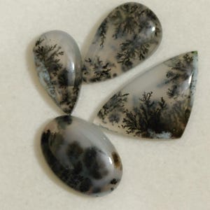 Peut inclure: Quatre cabochons en agate dendritique polis avec des bases gris clair translucides et des inclusions sombres en forme de fougère. La collection comprend deux pierres en forme de goutte, une pierre ovale et une pierre triangulaire irrégulière.