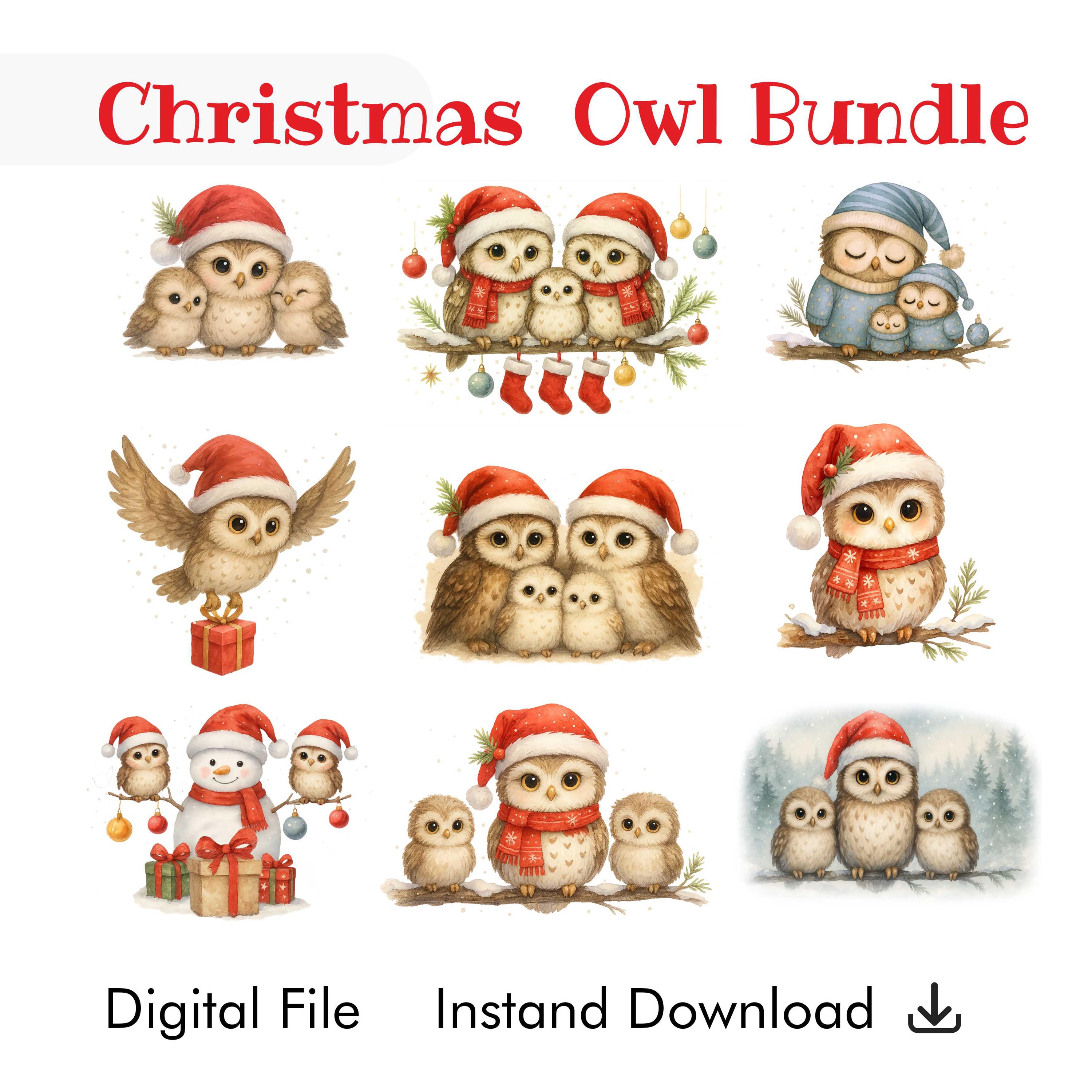 Christmas Owl Clipart Bundle | 9 Watercolor Baby Owl Illustrations | PNG, Transparent, High-Res, Ins