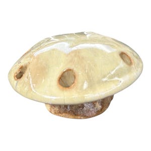 May include: A ceramic mushroom-shaped object with a light yellow cap and a brown stem. The cap has three circular holes. The mushroom has a glossy finish and a rustic appearance.