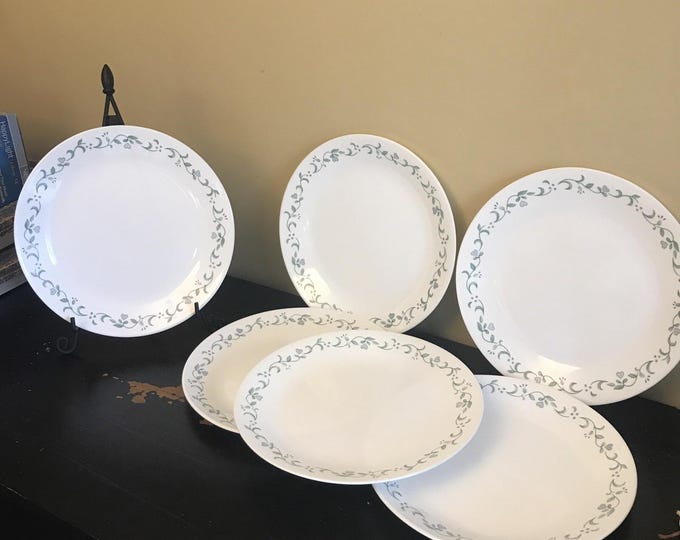 Corelle Country Cottage Dinnerware  dinner plates set of 2