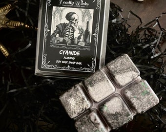 Almond Scented Soy Wax Melt, Gothic Wax Melts, Dark Vibes, Dark Aesthetics, Spooky Wax Melts, Skeleton Lovers, Food Scented
