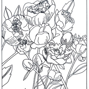Peony Coloring Page
