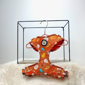 Adjustable Dog Harness- Oh!tumn