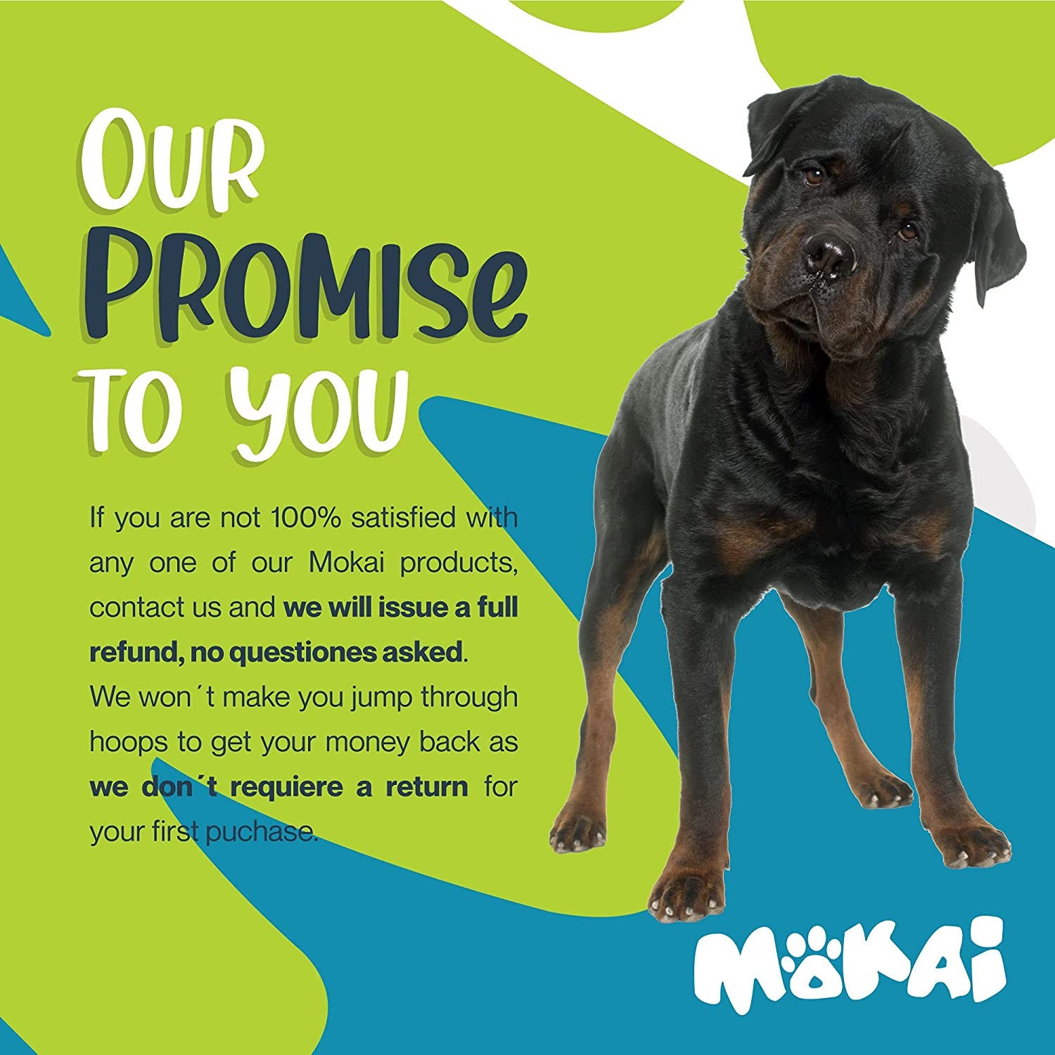 Do Dog Ear Mites Jump