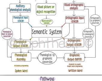 Adult conditions & The cog/neuro model