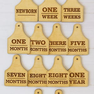 Cow Ranch Baby Milestone Tracker: Monthly & Weekly Photo Prop