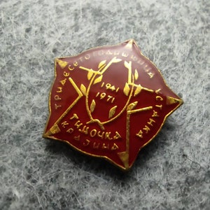 Vintage pin badge - Timočka krajina, Serbia - 30th anniversary of the uprising (1941-1971) - Yugoslav partisan pin badge