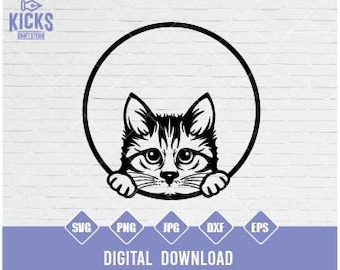Curious Kitten Face SVG, Clipart, Cricut Cut Files (Digital Download)