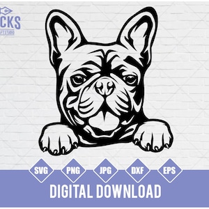 French Bulldog Svg, Frenchie svg,funny dog clipart, pet face png, Bulldog breed Svg, Frenchie Clipart Print, French Dxf
