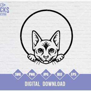 Cute Cat SVG, Curious Kitten Clipart, Cat Svg, Peeking face Svg, Cute Cat Svg Cut Files for Cricut, Png Dxf