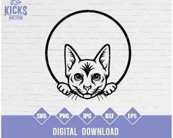 Gatinho com carinha espiando em SVG, Arquivos de Corte Clipart (Download Digital)