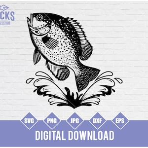 Crappie Fishing Svg, Fishing Svg, Crappie Fish Svg, Crappie Clipart, Crappie Vector, Crappie Cricut, Crappie Cut file, Fish Svg, Fish Svg