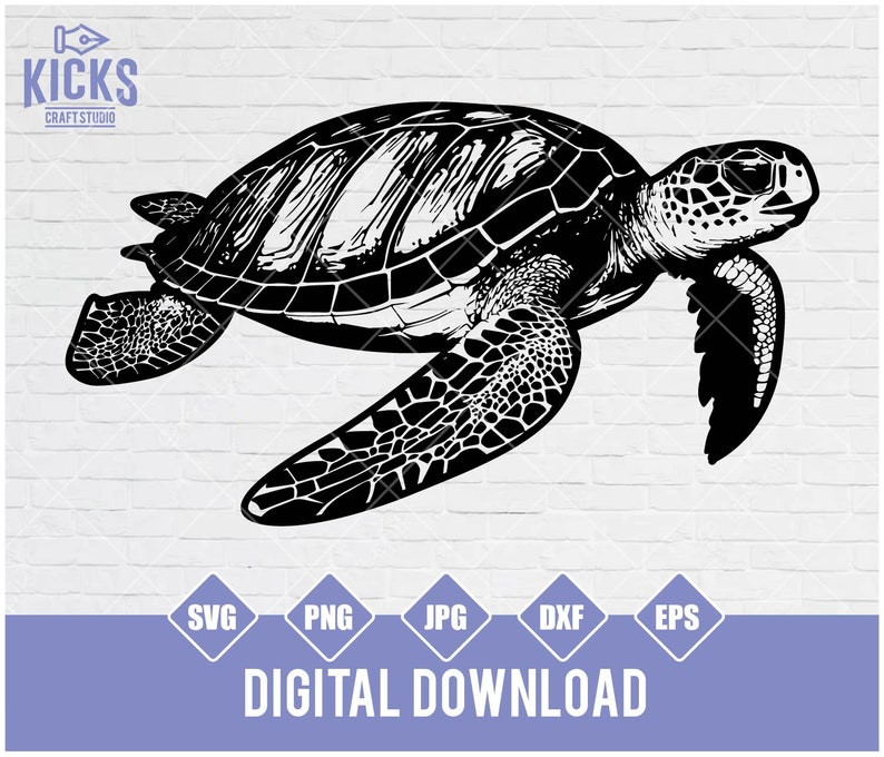 Sea Turtle Svg, Seaturtle Svg, Ocean Svg Files for Cricut. Svg, Png