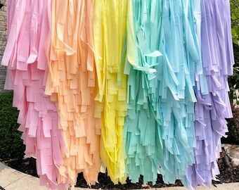Pastel Rainbow Backdrop, Fringe Backdrop, Streamer Wall, Plastic Tablecloth, Photo Backdrop
