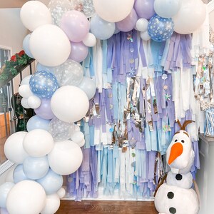 Elsa Anna Backdrop, Fringe Backdrop, Streamer Backdrop, Wall Backdrop, Birthday, Photo Backdrop