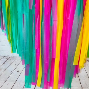 Hello Summer Backdrop, Summer, Pineapple, Flamingo, Fringe Backdrop, Plastic Tablecloth Backdrop, Streamers image 4