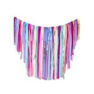 Unicorn Backdrop, Pastel Backdrop, Ice Cream Backdrop, Plastic Tablecloth Fringe, Streamer Backdrop