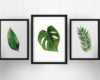 Set Of 3 Botanical leaf Prints, Fern Print, Palm Leaf Wall Art, Leafy Wall Art, Tropical, Green Poster Art Prints